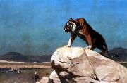 Jean Leon Gerome Tiger on the Watch Spain oil painting artist